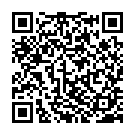 QR code for ZLO381