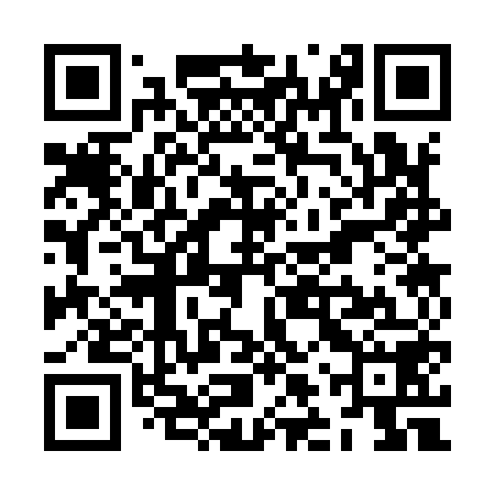 QR code for ZLS958