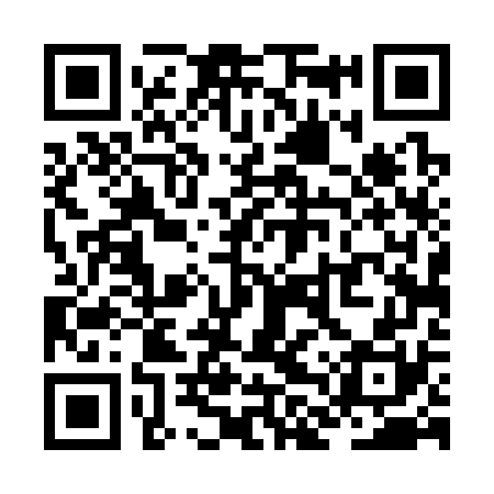 QR code for ZLT370