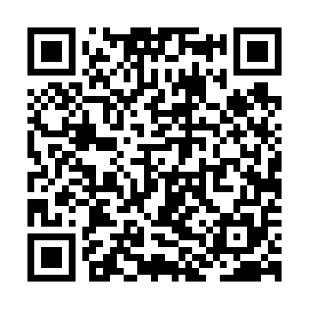 QR code for ZLT655