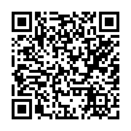 QR code for ZLU271