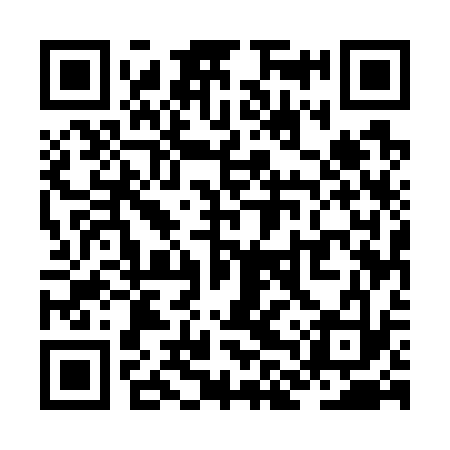 QR code for ZLU733