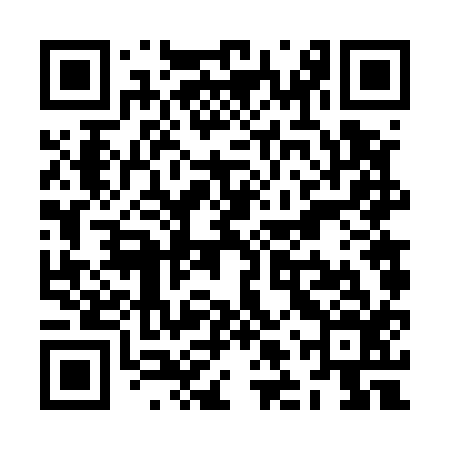 QR code for ZLV516
