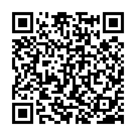 QR code for ZLV519