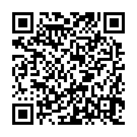 QR code for ZLZ387