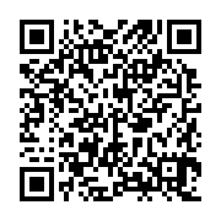QR code for ZMJ385