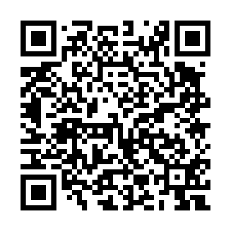 QR code for ZMQ411
