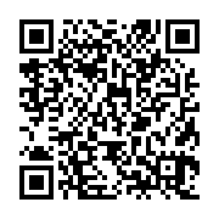 QR code for ZMS065