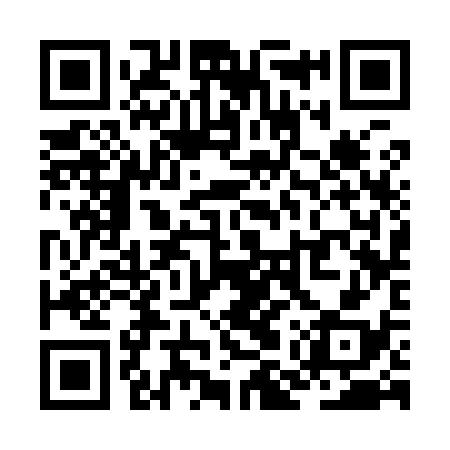 QR code for ZMS938