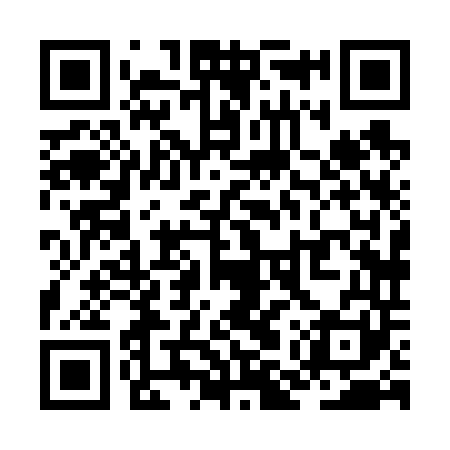 QR code for ZMX641