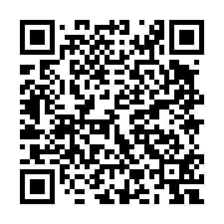 QR code for ZMY411