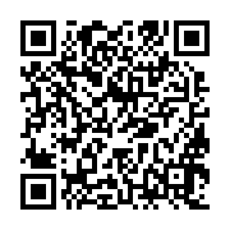 QR code for ZNG296