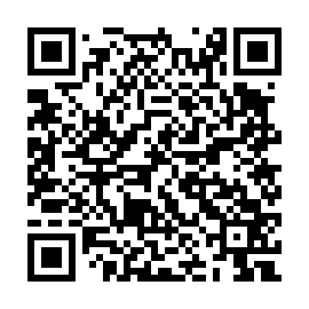 QR code for ZNG463