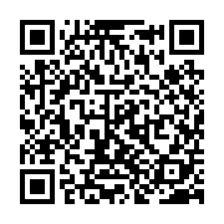 QR code for ZNI208