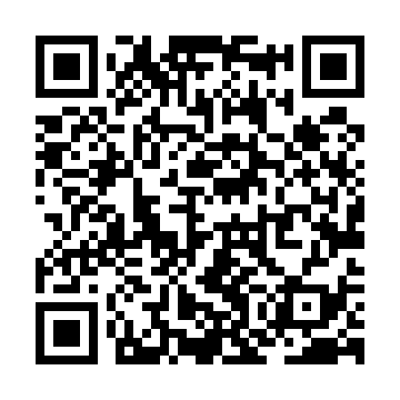QR code for ZOL539