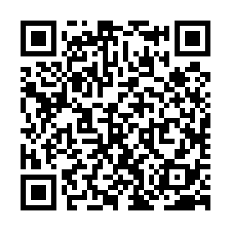 QR code for ZOR538