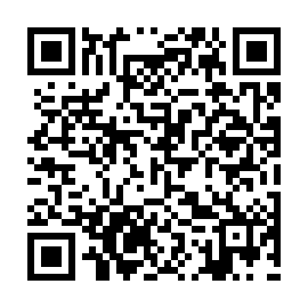 QR code for ZOT382