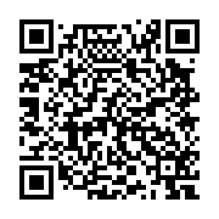 QR code for ZPA016