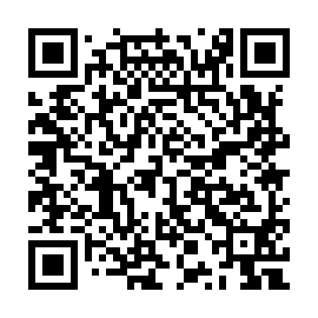 QR code for ZPA990