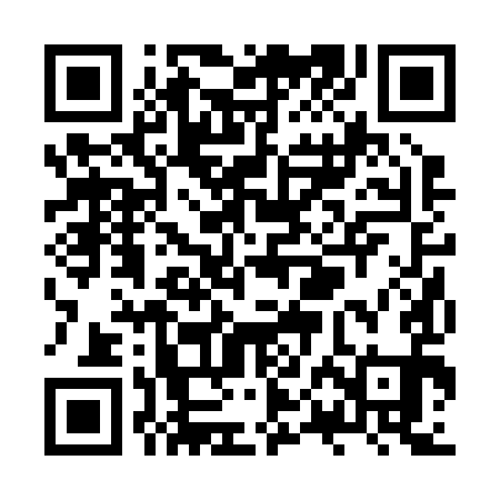 QR code for ZPB291