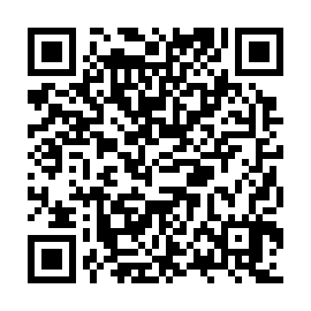 QR code for ZPB307