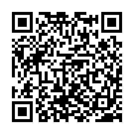 QR code for ZPB313