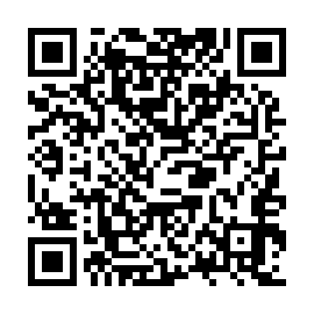 QR code for ZPD953