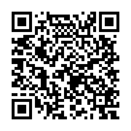 QR code for ZPJ509