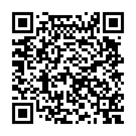 QR code for ZPK411
