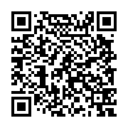QR code for ZPL079