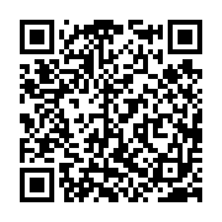 QR code for ZPP613
