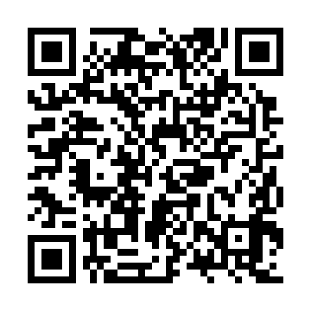 QR code for ZPR399