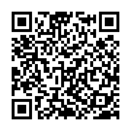 QR code for ZPT579