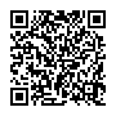 QR code for ZPY387
