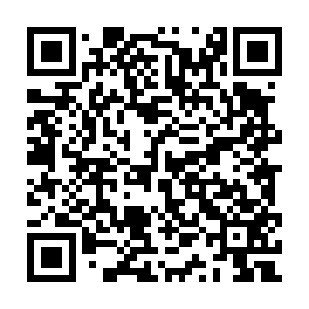 QR code for ZQL453