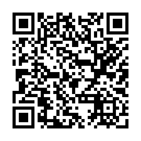 QR code for ZQL999