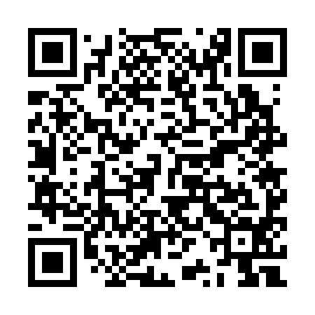 QR code for ZRG394