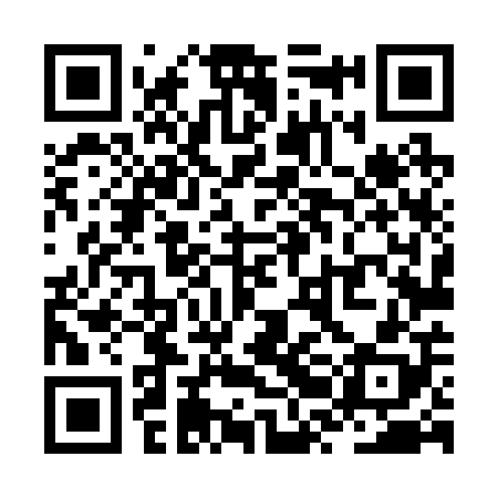 QR code for ZRL208