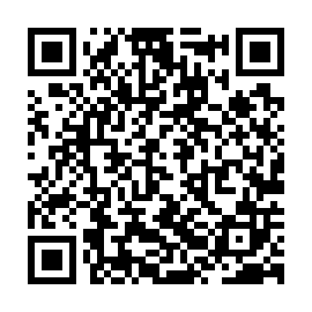 QR code for ZRL702