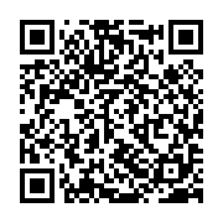 QR code for ZRM095