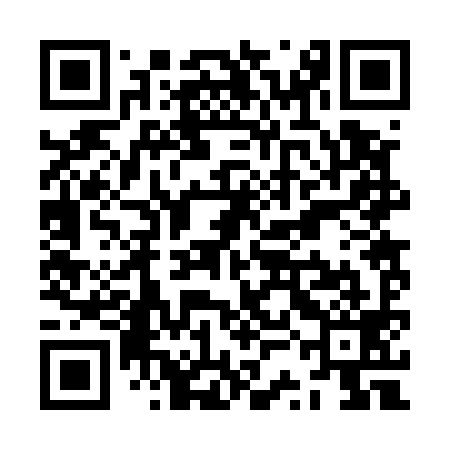 QR code for ZSB599