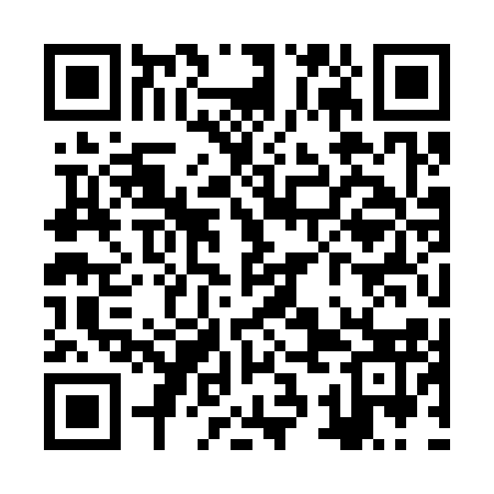 QR code for ZSK313