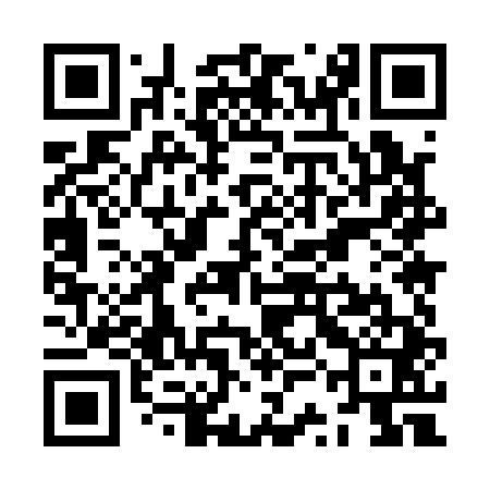 QR code for ZSM141