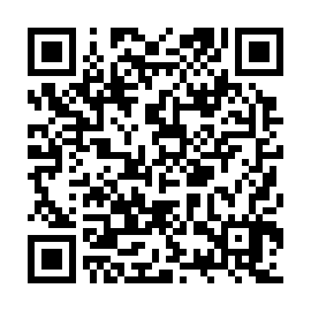 QR code for ZSP307