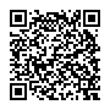 QR code for ZST213