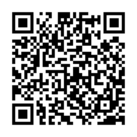 QR code for ZST597
