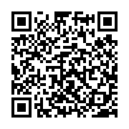 QR code for ZST699