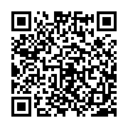QR code for ZST993