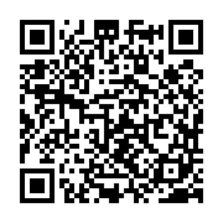 QR code for ZSZ541