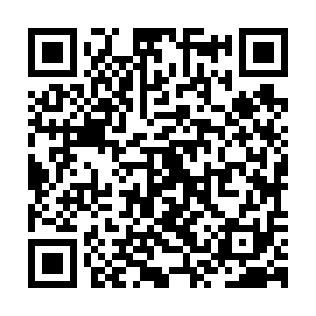 QR code for ZSZ611